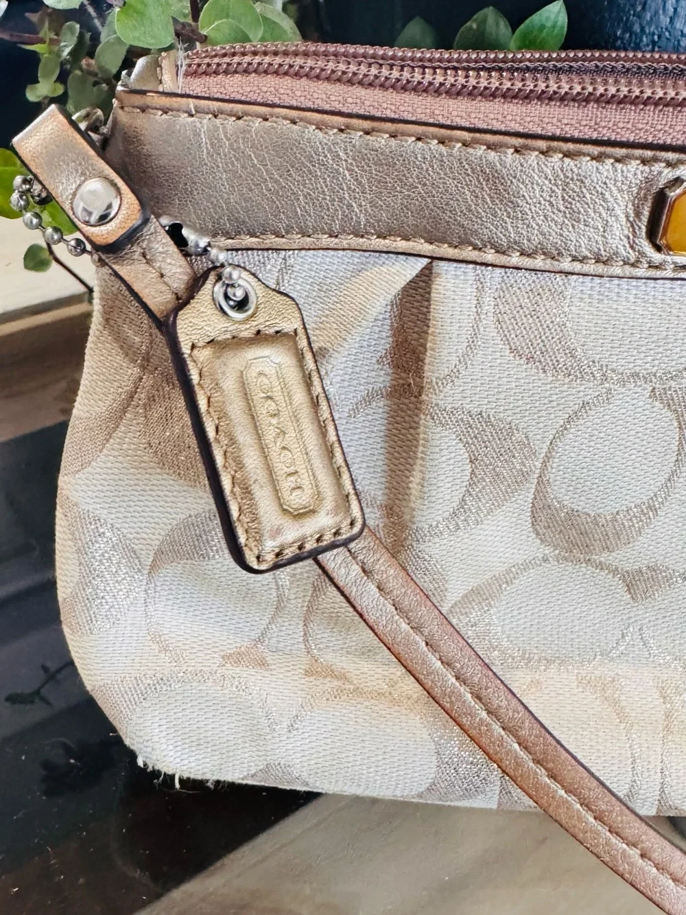 Coach Beige Signature Wristlet with Leather Trim